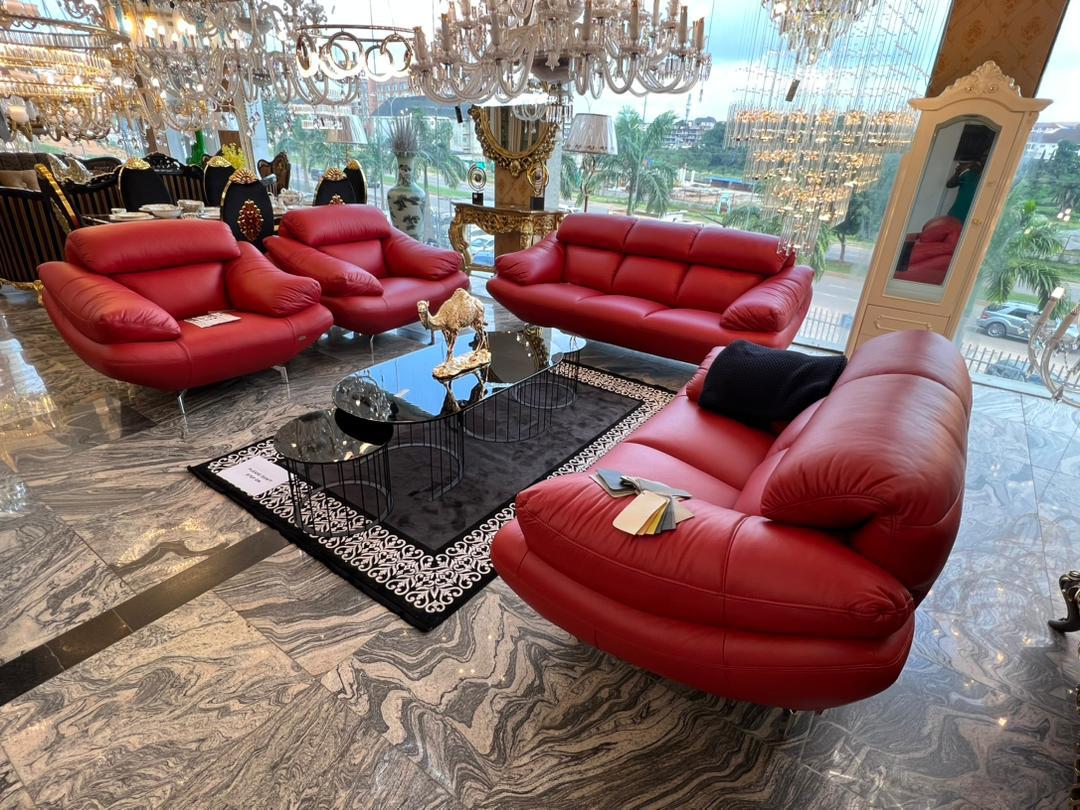 Italian leather furnitures (6)